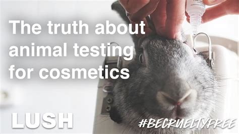 chanel animal testing